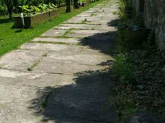 -鄞州雪菜博物馆