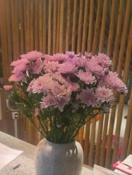 -花隐瑜伽·普拉提·红绳
