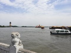 -溱湖国家湿地公园