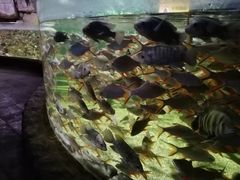 -多彩贵州城极地海洋世界