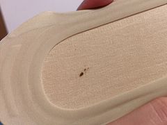 -九木杂物社(恒隆广场店)