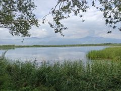 -野鸭湖国家湿地公园