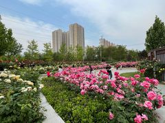-坝河休闲公园