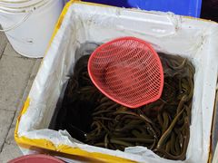 -铜元老码头鳝鱼火锅