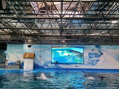 -石林冰雪海洋世界