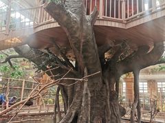 -南宫五洲植物乐园