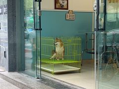 -青石桥花鸟鱼虫市场(叠翠城店)