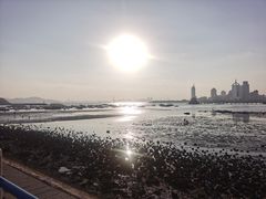 -龍歌自助小火锅(市南金茂湾店)