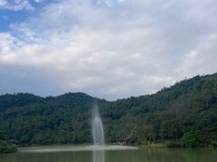 -广州白江湖森林公园