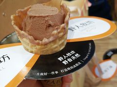-野人先生现做冰淇淋(西安赛格店)