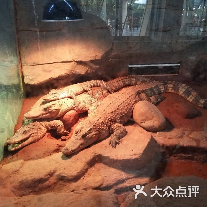 上海动物园
