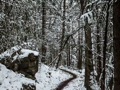 -安吉龙王山风景区