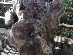 -腾冲云峰山