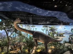 -陕西自然博物馆