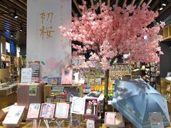 -九木杂物社(江宁金鹰广场店)