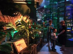 -恐龙探索乐园(磁器口店)