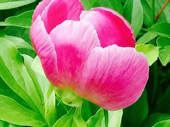 -长春公园(普阳街道)