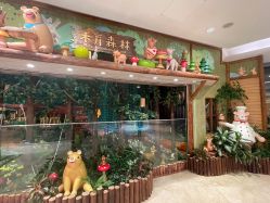 -森活木趣wooderfullife(益田假日广场店)