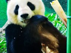 -天津市动物园