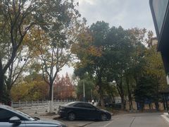 -阿龙酒煲(海宁新苑路店)