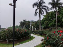 -文华公园(禅城区)