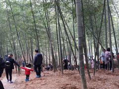 -宁波浙东大竹海景区