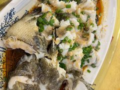 清蒸龙趸-阿四台山黄鳝饭(东门店)