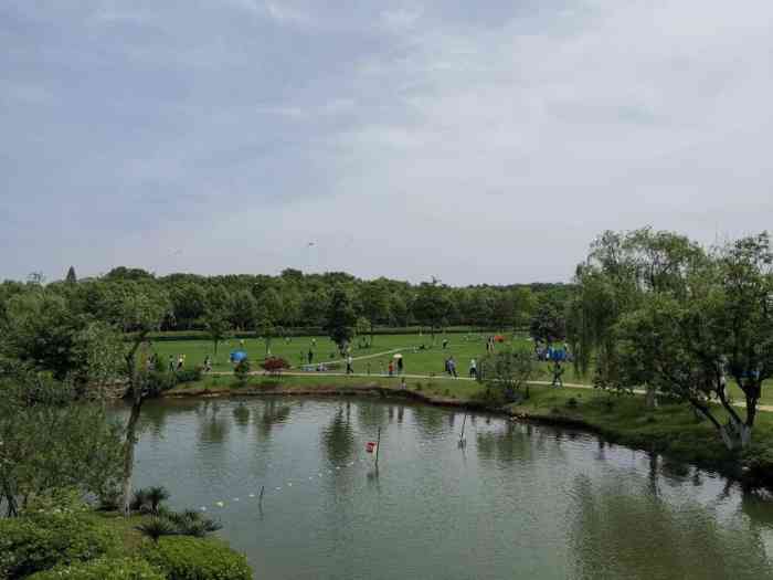 龙背山森林公园-"免费进去的,玩的人好多,游乐园也有好多娱.