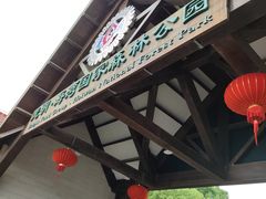 -上海海湾国家森林公园