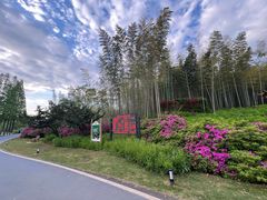 -宜兴龙背山森林公园