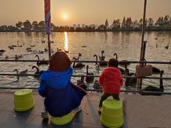 -艾溪湖湿地公园