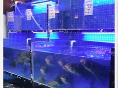 -姜君·千岛湖鱼头馆(浦东大道店)