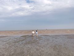 -奉贤海滩