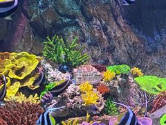 -海合安青岛极地海洋公园