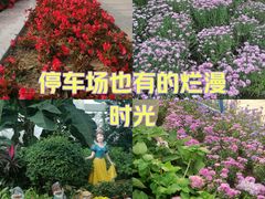 -石家庄市植物园