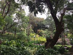 iphone_upload_pic-九龙公园