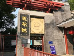 -莲花池公园