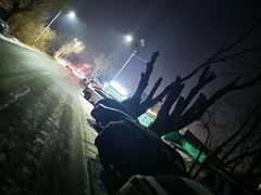 -天发长铁锅炖(王秀村店)