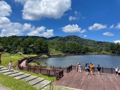 -海南热带雨林国家公园吊罗山景区