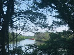 -大湾区中央湿地公园