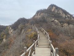 -大岭沟猕猴桃谷风景区