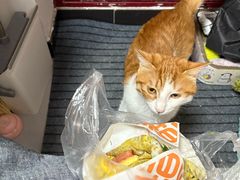 -大华煎饼(交道口北剪子巷店)