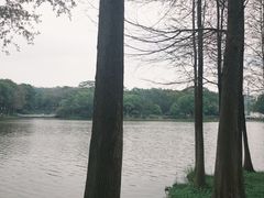 -东莞植物园