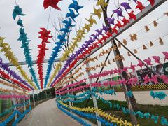 -三圣花乡旅游区