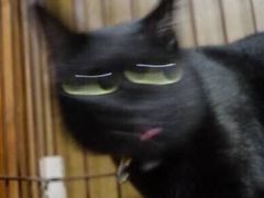 -喜茶(永旺梦乐城店)