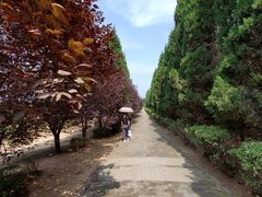 -秦始皇帝陵博物院-丽山园