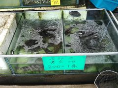 -拉威海鲜市场