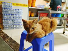 -富记鱼蛋粉(西村店)