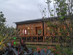 -花溪雨·森林餐厅(石基店)