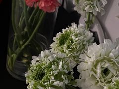 -自由生长植物工作室(深港花卉中心店)